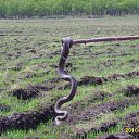 ���� �������, ���������, 41 ��� - ��������� 28 ����� 2016 � ������ ���� ����������