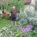 ���� �������, �����-���������, 65 ��� - ��������� 30 ���� 2016 � ������ ����� 2016�