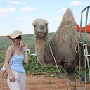 ���� ����, ���������, 46 ��� - ��������� 6 ���� 2016 � ������ ���� ����������