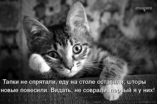 ���� ������ - 4 ��� 2016 � 21:54