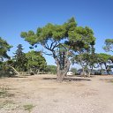 ���� �����, ������, 45 ��� - ��������� 15 ������ 2016 � ������ ���� ����������