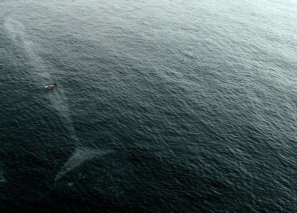 ��� ������ � ����� ������!