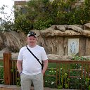 ���� �������, �������, 43 ���� - ��������� 10 ������ 2016 � ������ ���� ����������