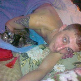 ���� ����, ��������, 41 ��� - ��������� 14 ������� 2016