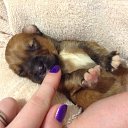 ���� �����, ��������, 58 ��� - ��������� 12 ���� 2016 � ������ ������