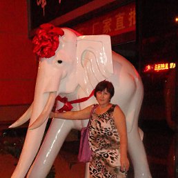 ������, ���������, 65 ���