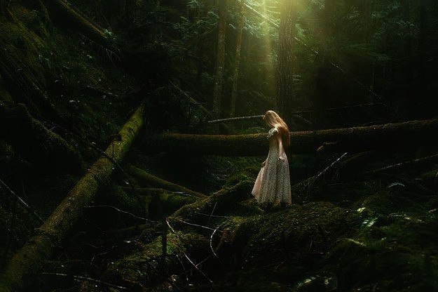  -   .  TJ Drysdale -     . - 3