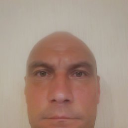 ����, ������, 48 ���