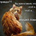 ���� ���������, ������ - ��������� 15 ���� 2016 � ������ ������ ��������