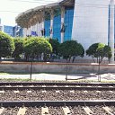 ���� Roli, ��������, 52 ���� - ��������� 14 ���� 2016 � ������ ���������