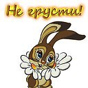 ���� �����, ��������, 59 ��� - ��������� 25 ���� 2016 � ������ ���� ����������