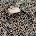 ���� ������, ���������, 42 ���� - ��������� 24 ����� 2016 � ������ ��������� ���