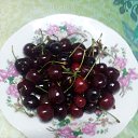 ���� Bahtiyor, ������ �������� - ��������� 19 ���� 2016 � ������ �������