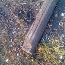 ���� �����, ������, 37 ��� - ��������� 6 ������� 2016 � ������ ������ ��������