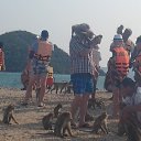 ���� �����, �����������, 48 ��� - ��������� 21 ��� 2016 � ������ ���� ����������