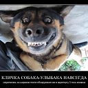���� Santa, �������, 51 ��� - ��������� 25 ����� 2016 � ������ ���� ����������