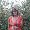 � �������. � ������� � ����. ���� 2016 �.