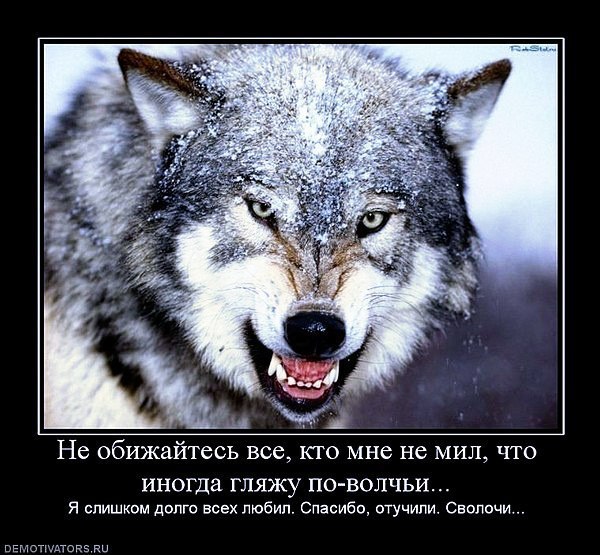 Такие не плачут. Такие не просят. Таких ненавидят. Таких превозносят. Такие боль прячут глубже под ...