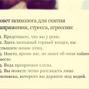 ���� �����, ������, 48 ��� - ��������� 8 ������� 2016 � ������ �������