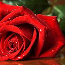 ���� N@taly, �������� - ��������� 23 ������� 2016