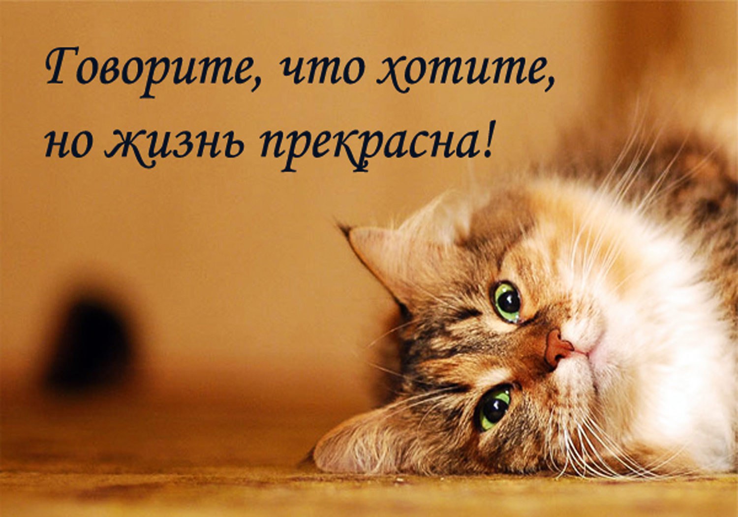 Лиля - 11 апреля 2016 в 13:50