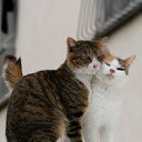 ���� �������, �����-��������� - ��������� 27 ���� 2016 � ������ ���� ����������