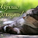 ���� �������, ��������, 50 ��� - ��������� 28 ������� 2016 � ������ �������� ��������