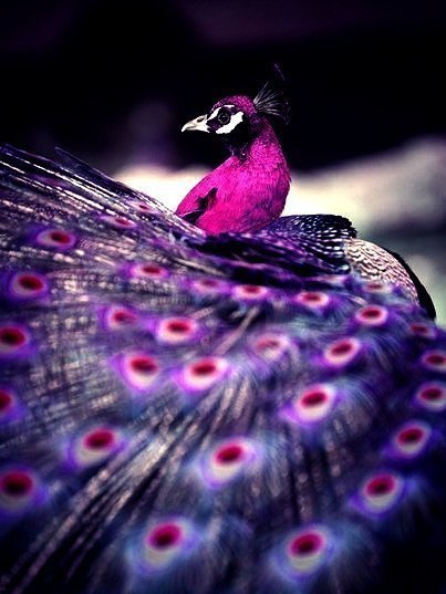 Art & Fun - 29  2016  06:07 - 2