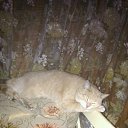 ���� �����, ������������, 67 ��� - ��������� 27 ����� 2016 � ������ ���� ����������