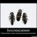  , , 49  -  24  2016   ߻