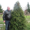 ���� �������, �����-���������, 65 ��� - ��������� 30 ���� 2016 � ������ ����� 2016�