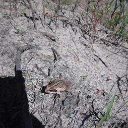 ���� ������, �������, 50 ��� - ��������� 26 ������� 2016