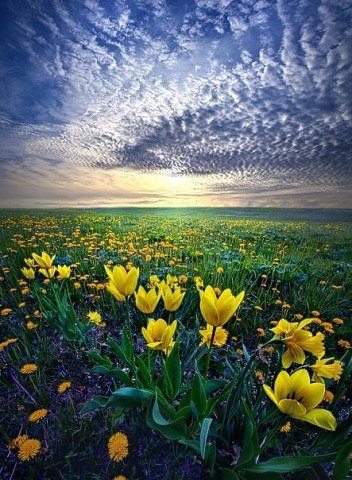  Phil Koch - 4