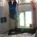 ���� �����, ������, 49 ��� - ��������� 23 ���� 2016 � ������ ���� ����������