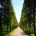 ���� ������, ������, 39 ��� - ��������� 5 ���� 2016 � ������ ����ջ