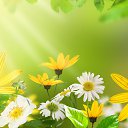 ���� ���������, �������� - ��������� 7 ������ 2016 � ������ ������ ��������