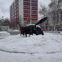 ���� ������, �����-���������, 49 ��� - ��������� 27 ������ 2016 � ������ ���� ����������