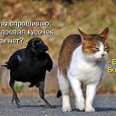 ���� Elizabeth, ������, 58 ��� - ��������� 24 ����� 2016 � ������ ������ ��������