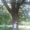 ���� ��������, ��������������, 50 ��� - ��������� 27 ������� 2016 � ������ ���� ����������