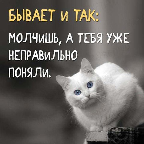 .Life.Is.Life. - 26  2016  18:33