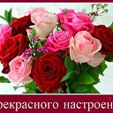 ���� �������, ������� ����, 66 ��� - ��������� 11 ����� 2016 � ������ ���� ����������