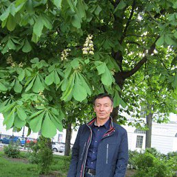 ������, �����-���������, 68 ���