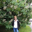 ���� �����, ������ - ��������� 4 ���� 2016