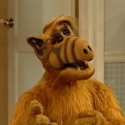 Alf, , 85 