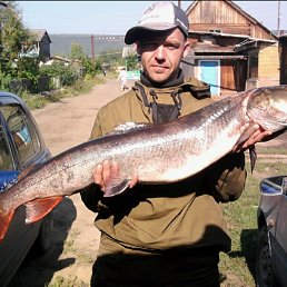 Dovganb, �������������, 47 ���