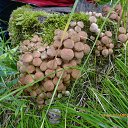 ���� ������, ����������, 69 ��� - ��������� 31 ������� 2016 � ������ ���� ����������