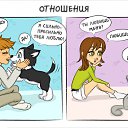 ���� �����, �������, 36 ��� - ��������� 4 ������ 2016 � ������ ������ ��������