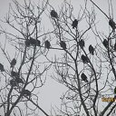 ���� ����������, ������, 58 ��� - ��������� 4 ������ 2016 � ������ �������