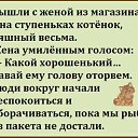 ���� �������, ������� - ��������� 3 ���� 2016 � ������ ������ ��������