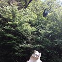 ���� �����, ��������� - ��������� 15 ������� 2016 � ������ ���� ����������